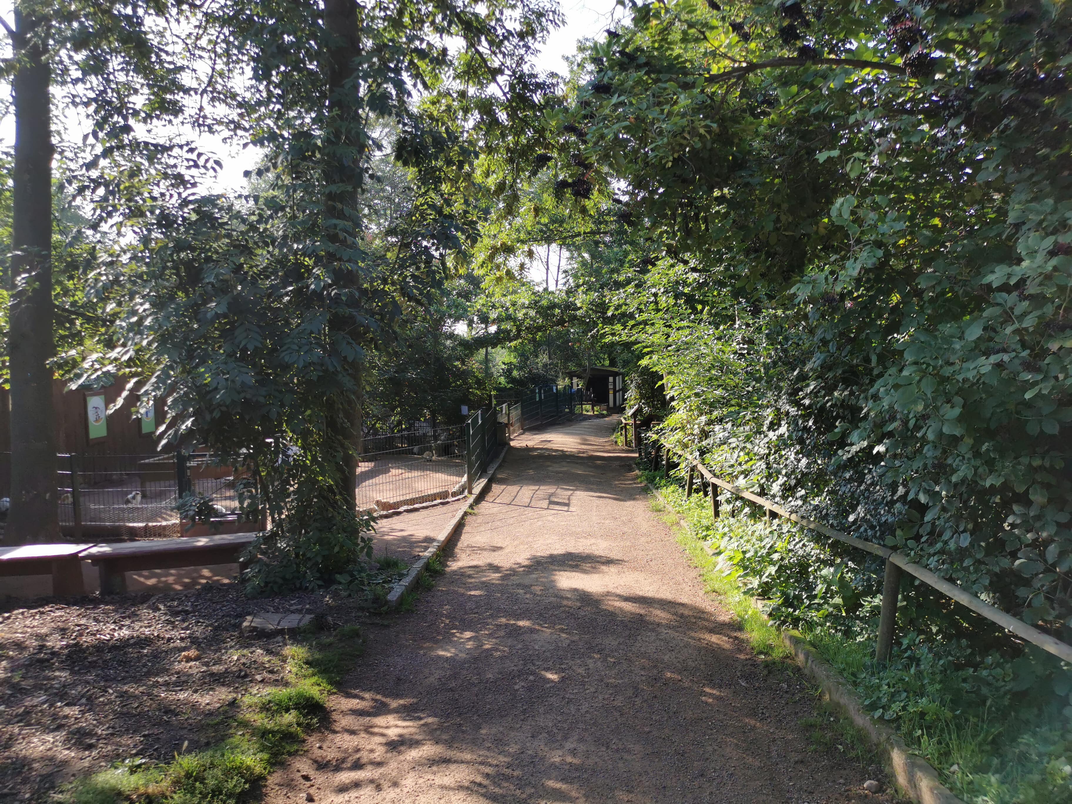 Tierpark Petersberg Tierpark & Tiere